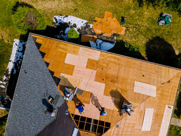 Best Storm Damage Roof Repair  in Greenback, TN